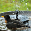 Birdlife Vogel Fontein - Helpt Vogels Water Te Drinken Tijdens De Warme Dagen